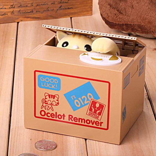 The Coin Steeling Cat